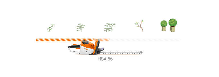 HSA 56