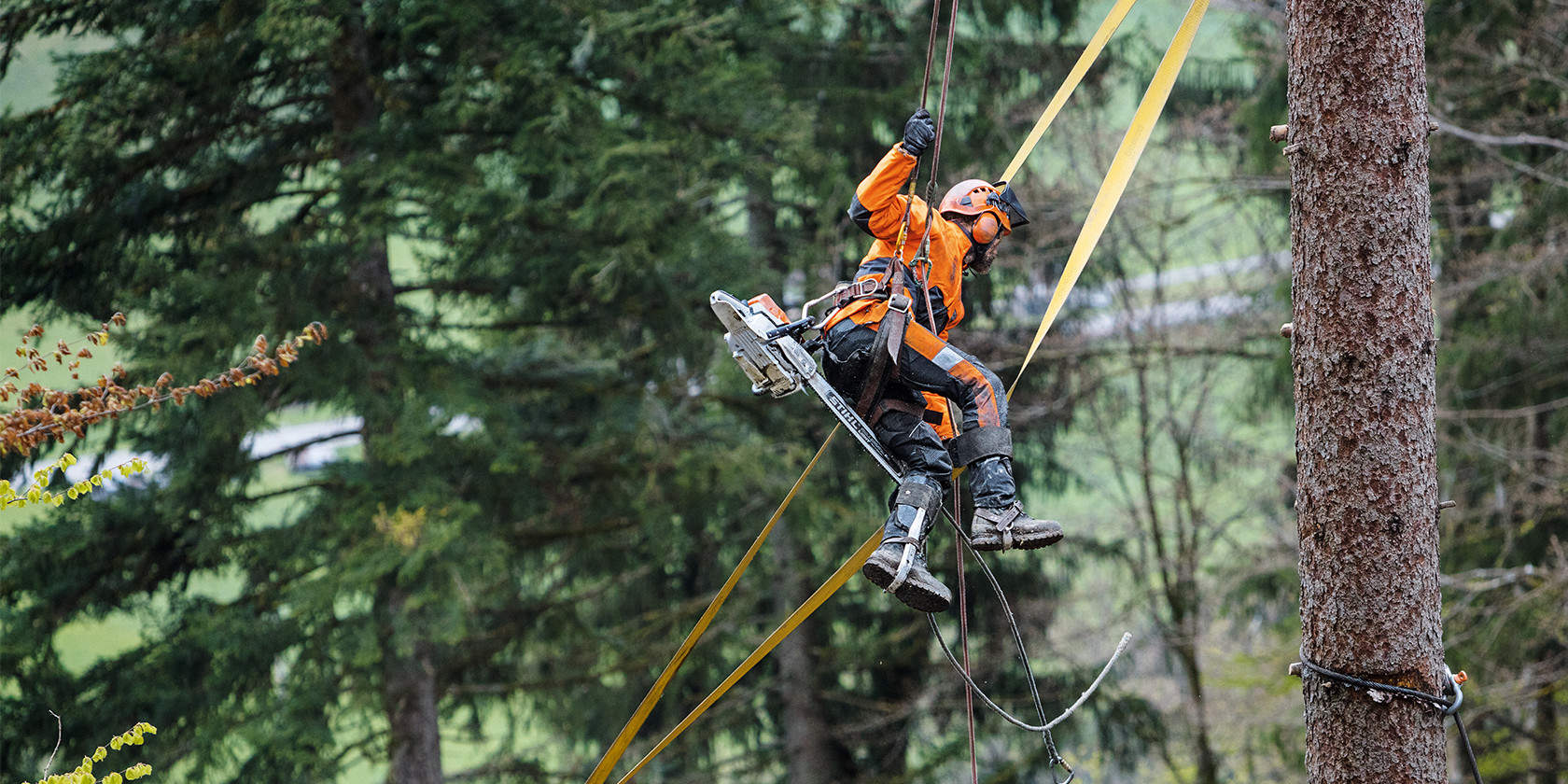 木の上で使用するとき、または伐倒や枝払い作業では、STIHL MS 462が軽量なだけでなく非常にパワフルなことも分かります。
